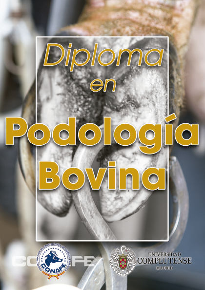 Abierta la inscripción al Diploma en Podología Bovina de CONAFE y la Universidad Complutense de Madrid