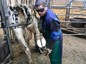 CONAFE y el centro de formación CFPPA Rennes-Le Rheu de Francia colaboran en materia de formación en podología bovina