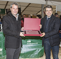 4466 Paulino Badiola