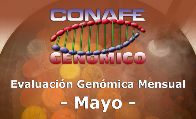 Nuevos toros genómicos mayo 2018 - CONAFE
