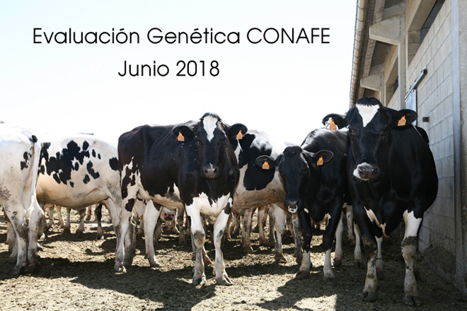 Nuevas pruebas CONAFE - Junio 2018