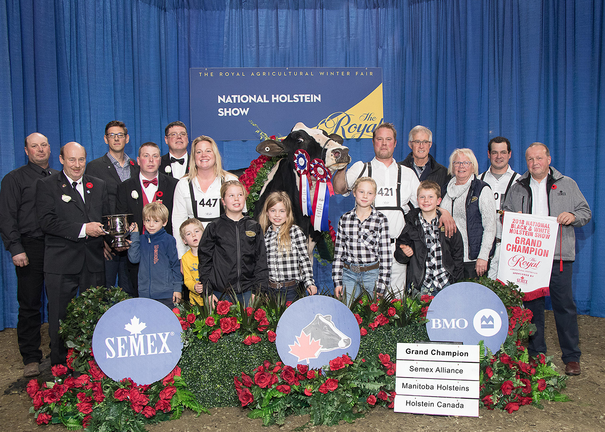 Jacobs Windbrook Aimo, Vaca Gran Campeona de Canadá en el Royal Holstein Show 2018
