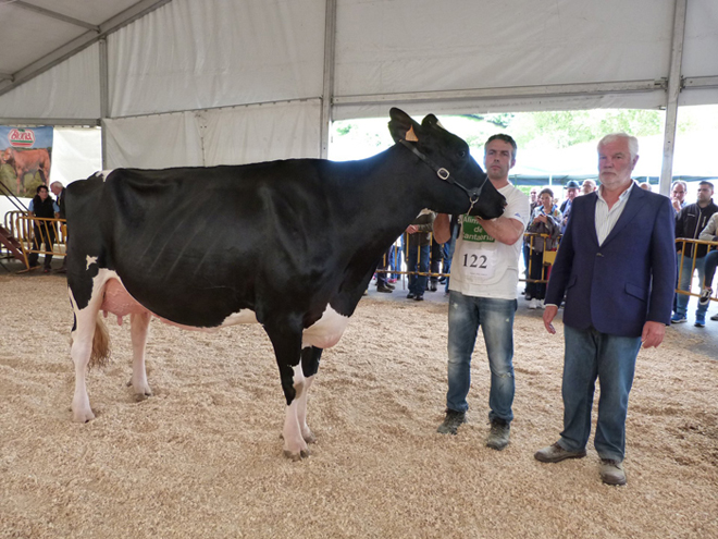 Llinde Ariel Jordan, de la ganadería S.A.T. Ceceño, gana el Concurso de Raza Frisona San Bernabé 2018 en Treceño