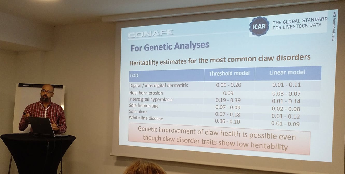 CONAFE presenta recomendaciones en recogida y análisis de datos sobre Salud Podal en la cita anual de EAAP en Croacia