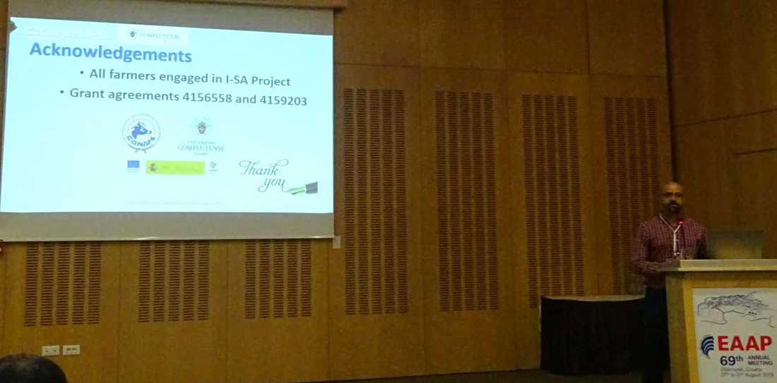 El programa I-SA de recogida de datos de salud del sector bovino lechero español, protagonista en la cita de EAAP en Croacia