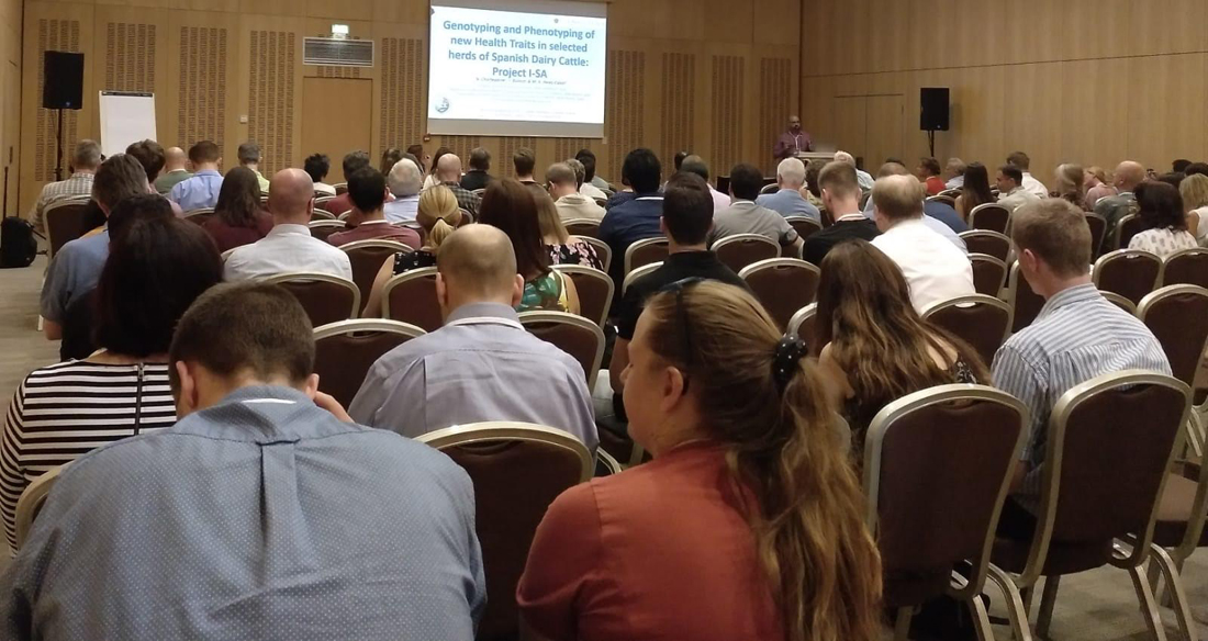 El programa I-SA de recogida de datos de salud del sector bovino lechero español, protagonista en la cita de EAAP en Croacia