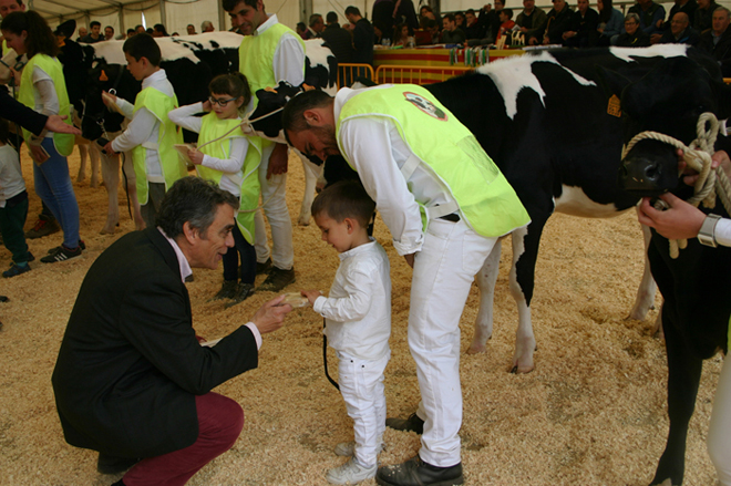 Sección infantil del Concurso de Raza Frisona de Campllong