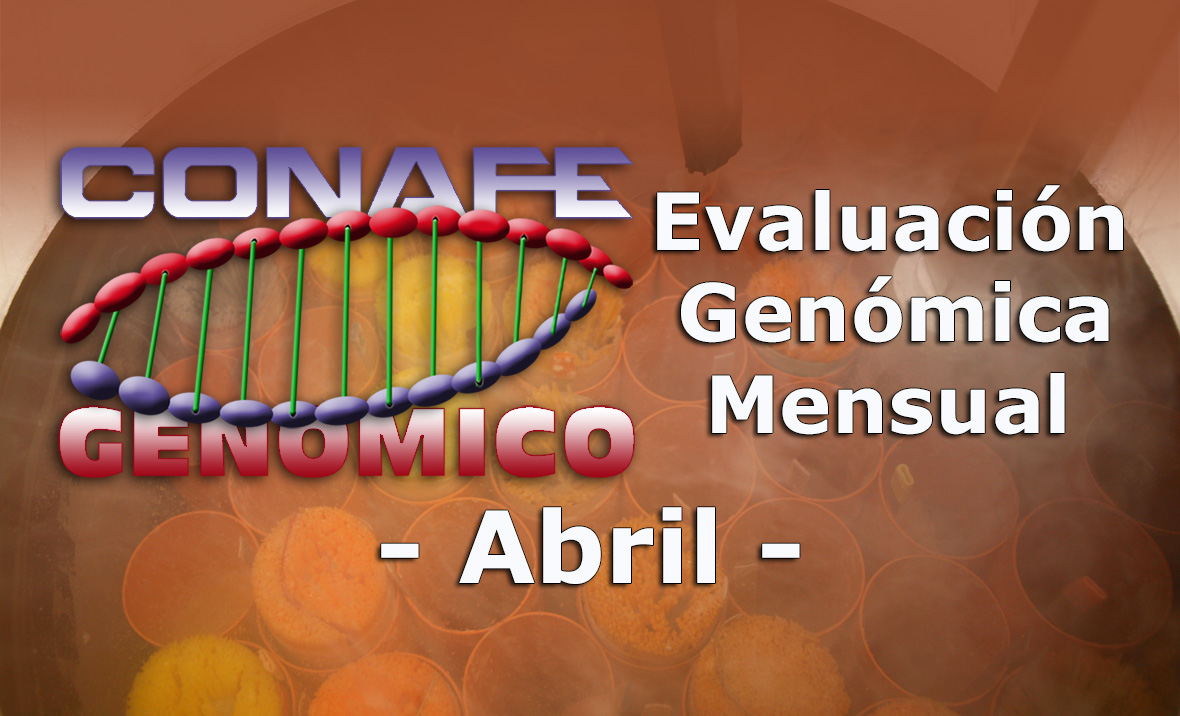 Toros genómicos de abril de 2019
