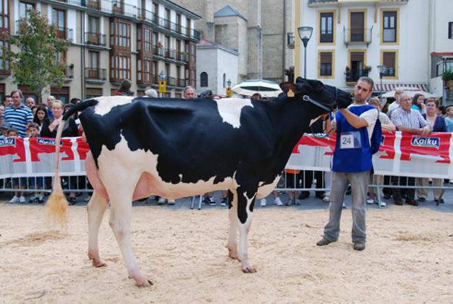 Casa Nueva Xacobeo Melissa. Vaca Gran Campeona del Conurso