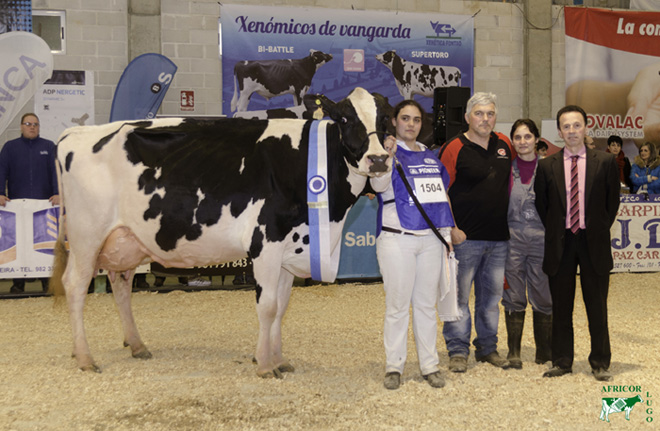 Manteiga Shottle Luna, Vaca Gran Campeona del Concurso de Ganado Frisón de Moexmu Muimenta